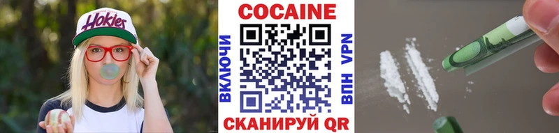 закладки  Сортавала  COCAIN FishScale 