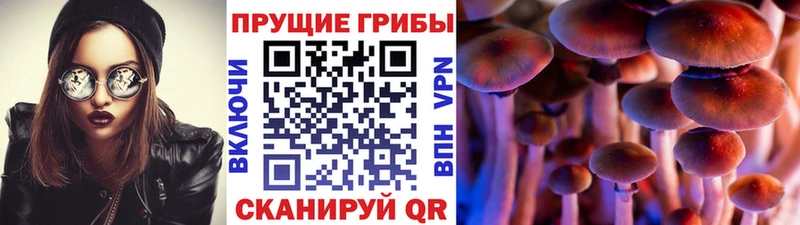 сколько стоит Сортавала Галлюциногенные грибы прущие грибы