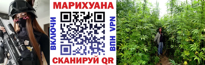 гидра как зайти  Сортавала  Канабис сатива 